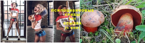 эйфоретик Каменка