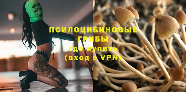 наркотики Каменногорск