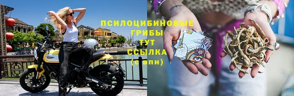 эйфоретик Каменка