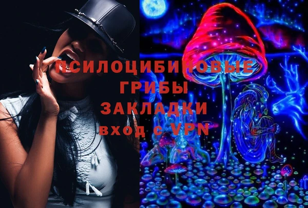 эйфоретик Каменка